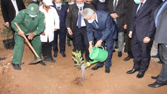 وزير الفلاحة الصديقي يدشن إحدى عمليات غرس شجرة الخروب في المغرب